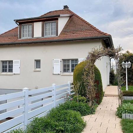 Le Papillon,Logement Cosy En Alsace Erstein Exteriör bild